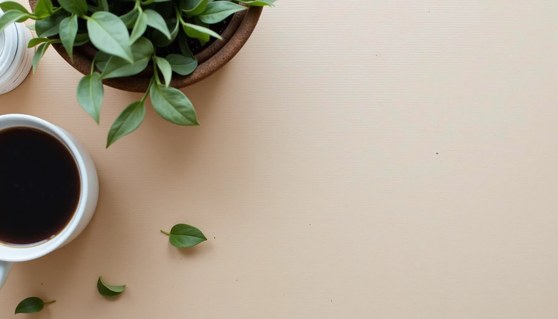 A cup of kizler coffee pacifica sits beside a potted plant on a beige surface.