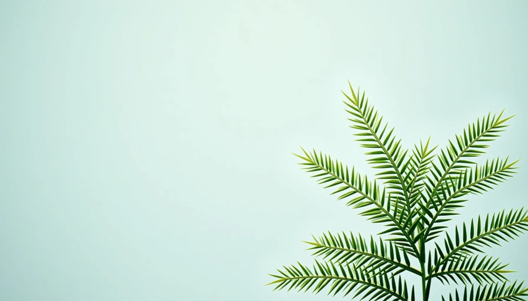 A close-up of vibrant green leaves representing the essence of joshua tree coffee.